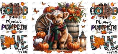 cow-Y16546