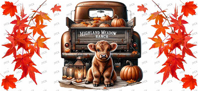 cow-Y16560