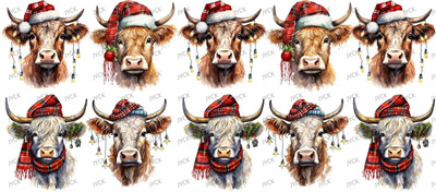 cow-Y19972