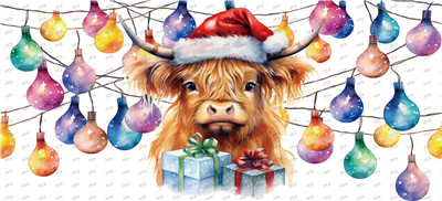 cow-Y21239