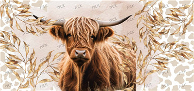 cow-Y23426