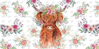 cow-Y2546