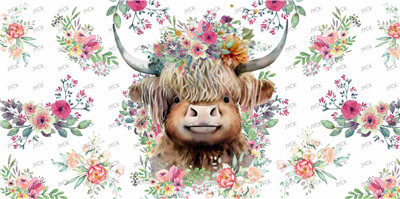 cow-Y2568