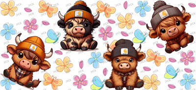 cow-Y27591