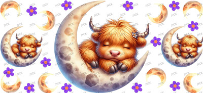cow-Y30291