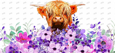 cow-Y3353