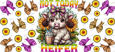 cow-Y33986