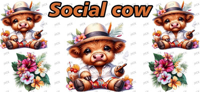 cow-Y42087