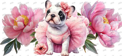dog-Y40658