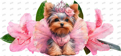 dog-Y40665