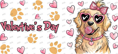 dog-Y41410