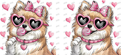 dog-Y41412