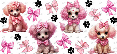 dog-Y43498
