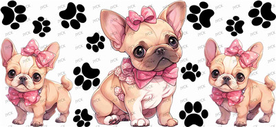 dog-Y43504
