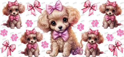 dog-Y43506