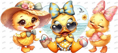 duck-Y1118