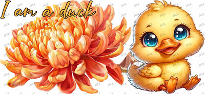 duck-Y40936