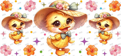 duck-Y50918