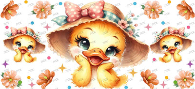 duck-Y50919