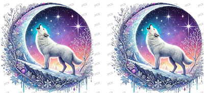 fox-Y28259