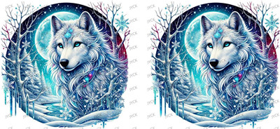 fox-Y28263