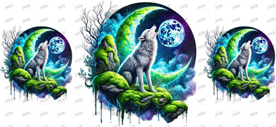 fox-Y28269