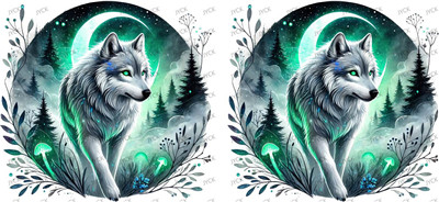 fox-Y28276