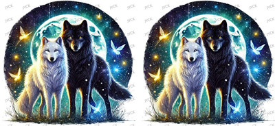 fox-Y28281