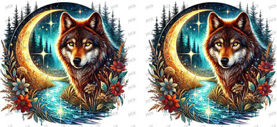 fox-Y28285