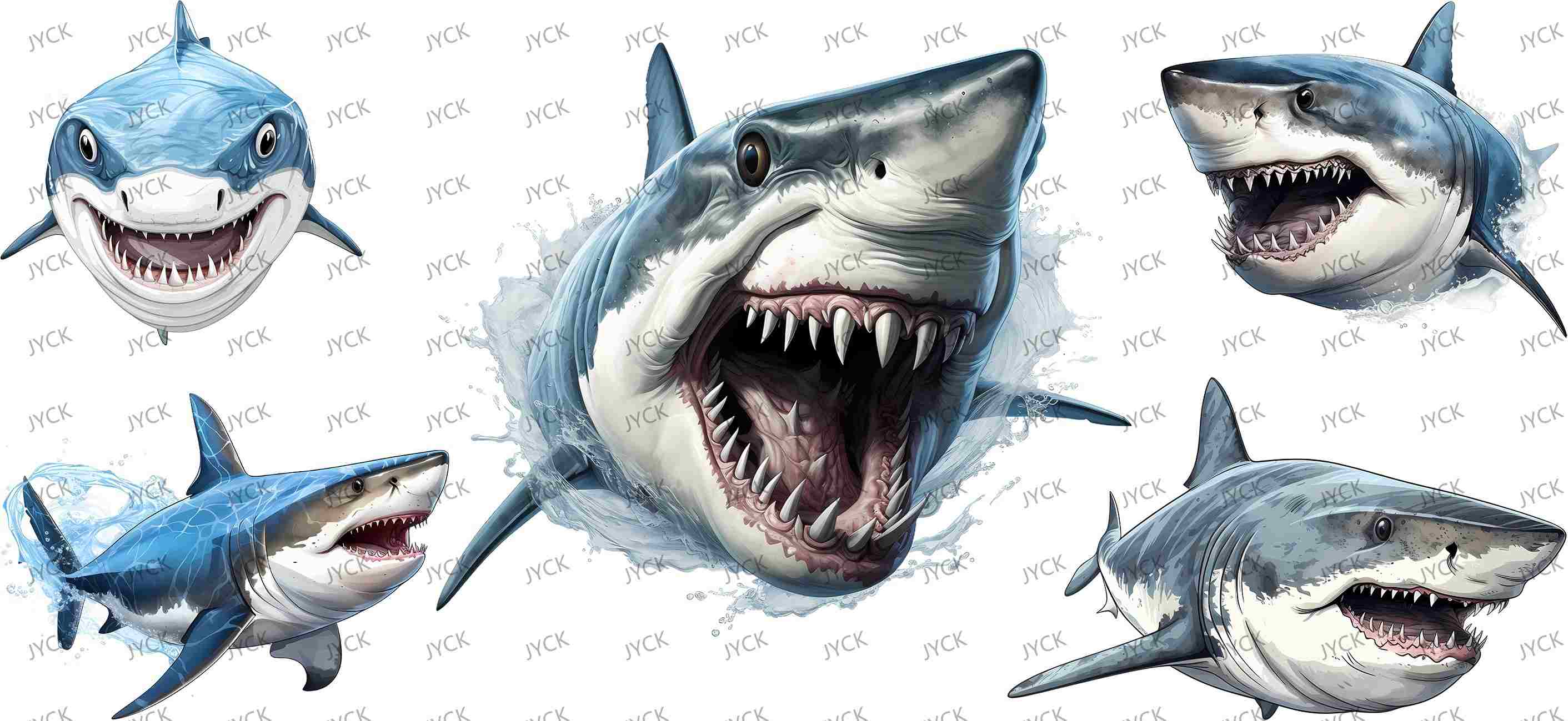 sharks-Y34310