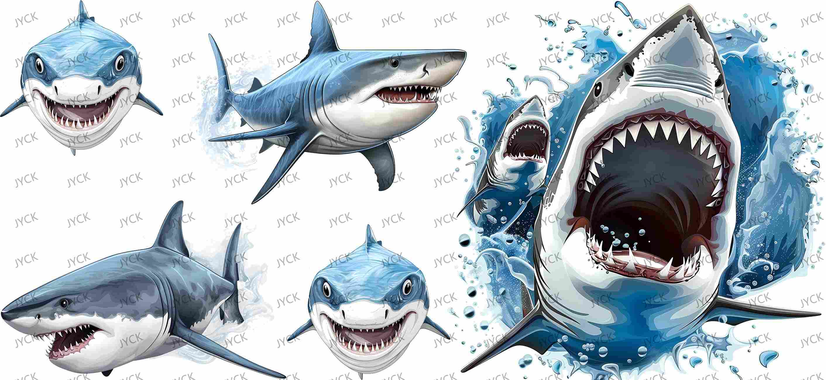 sharks-Y34311