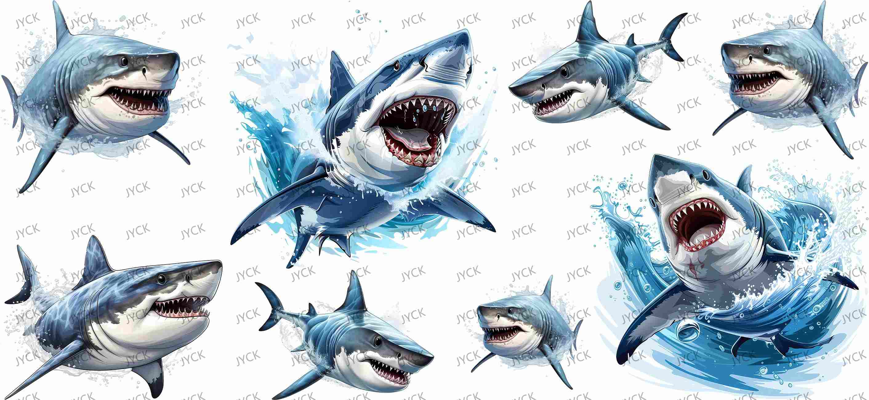 sharks-Y34314