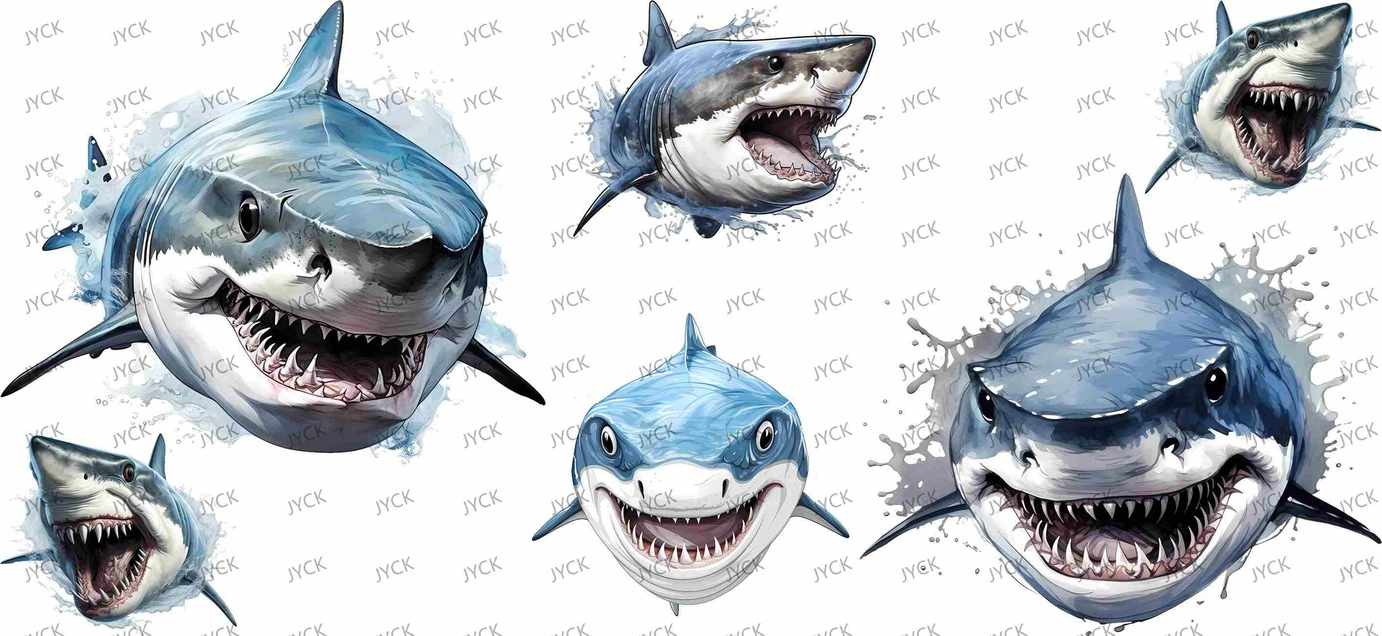 sharks-Y34315