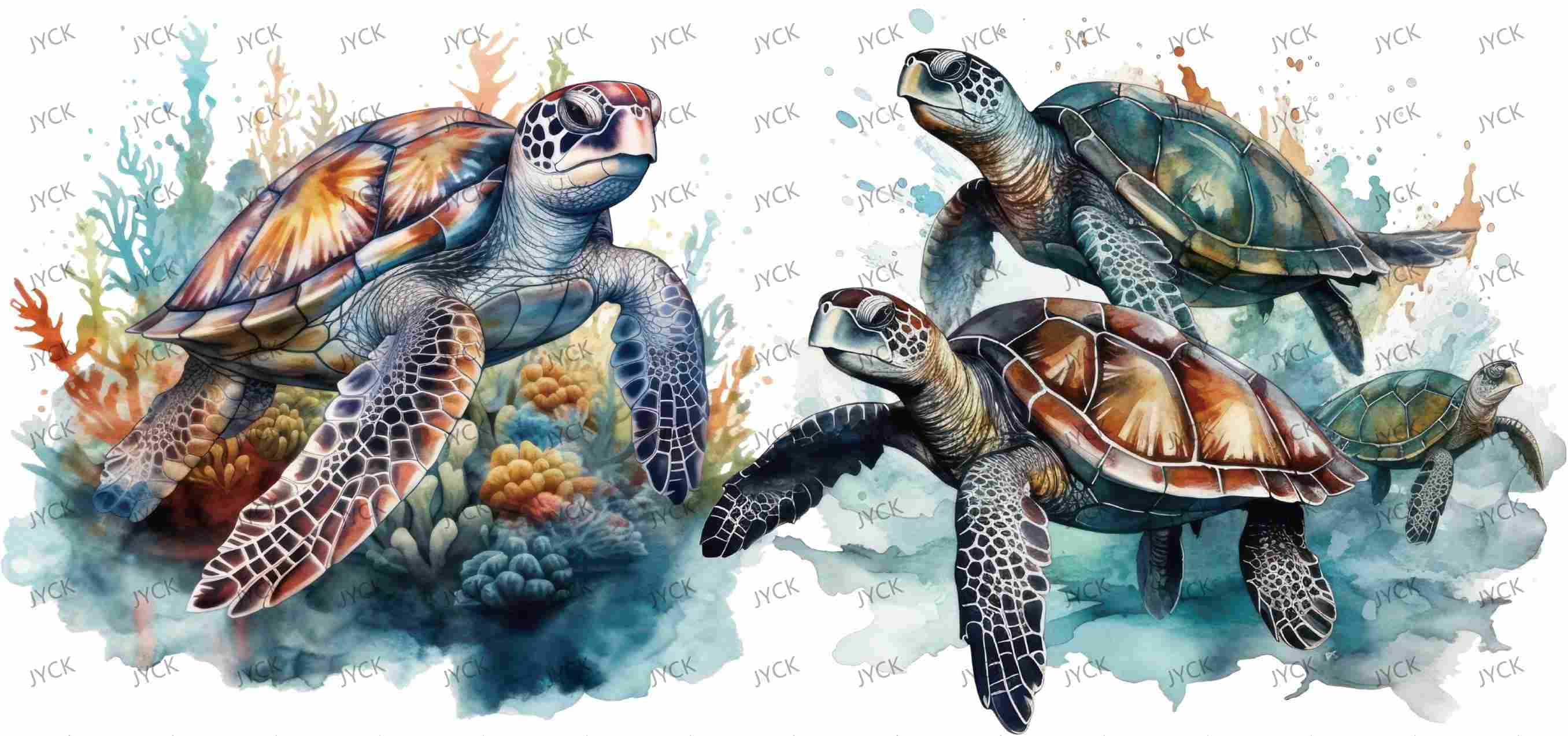 tortoise-Y0679