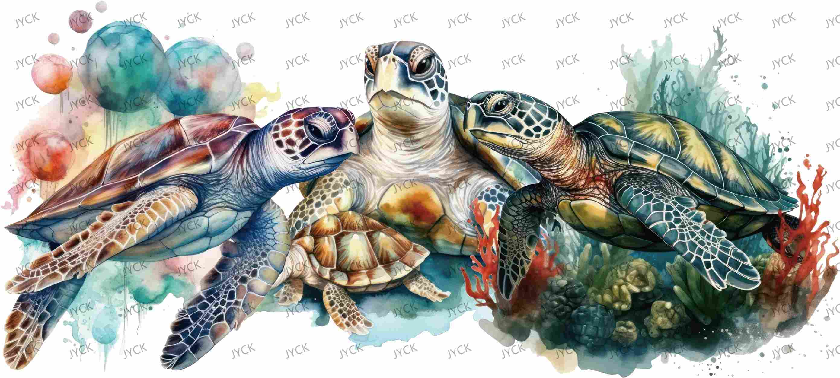 tortoise-Y0680