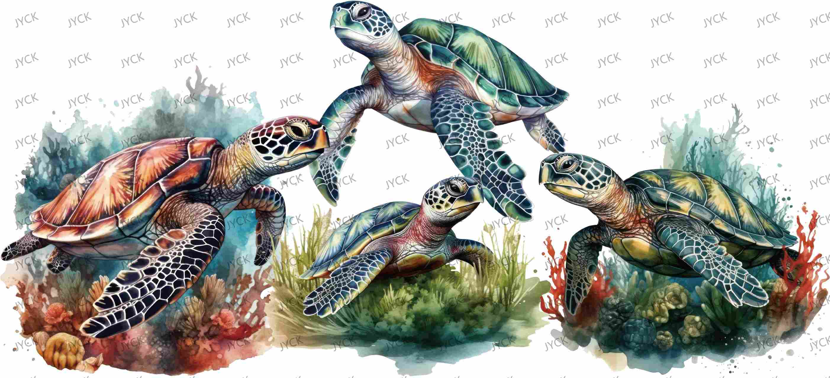 tortoise-Y0682