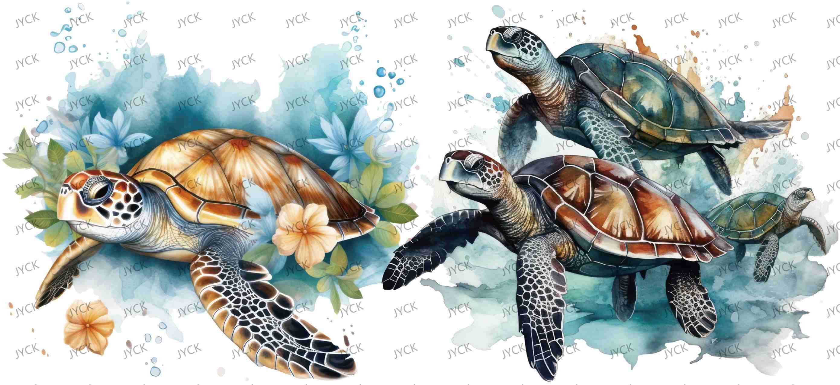 tortoise-Y0683