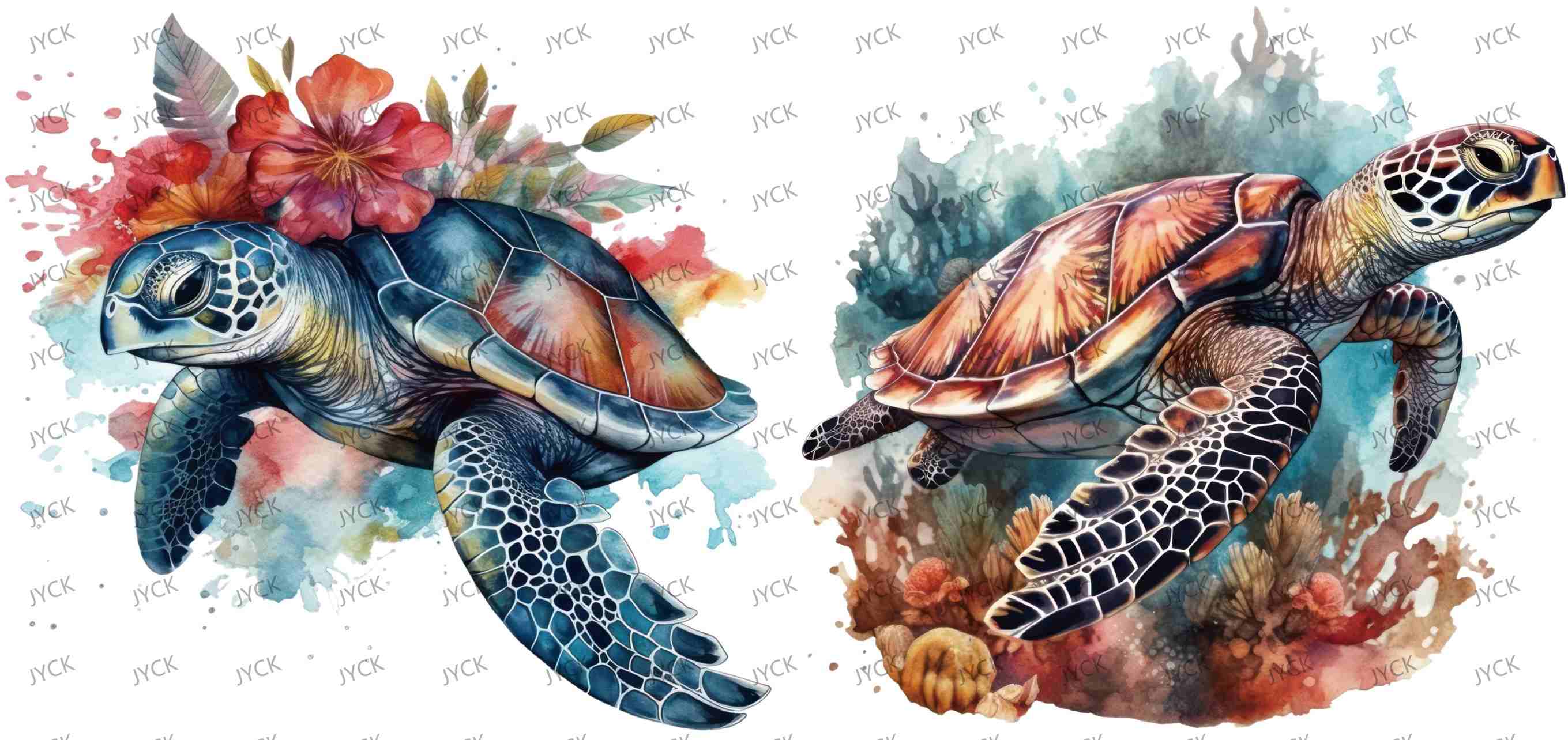 tortoise-Y0684