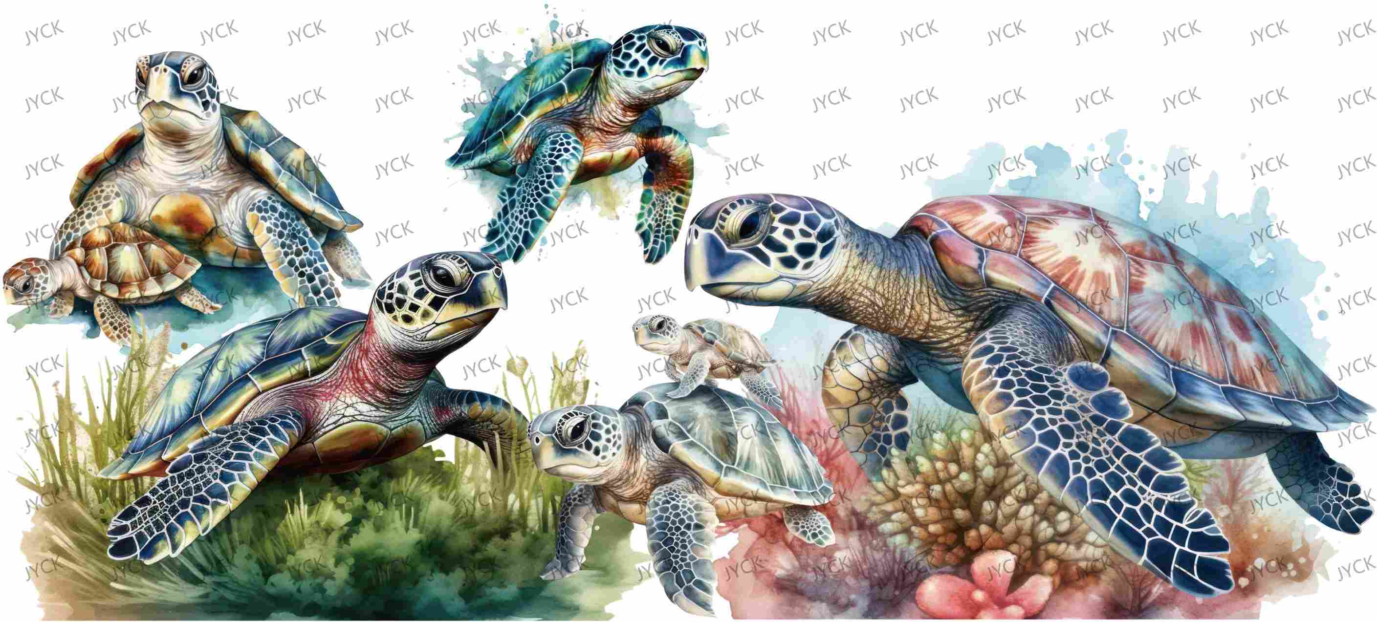 tortoise-Y0685