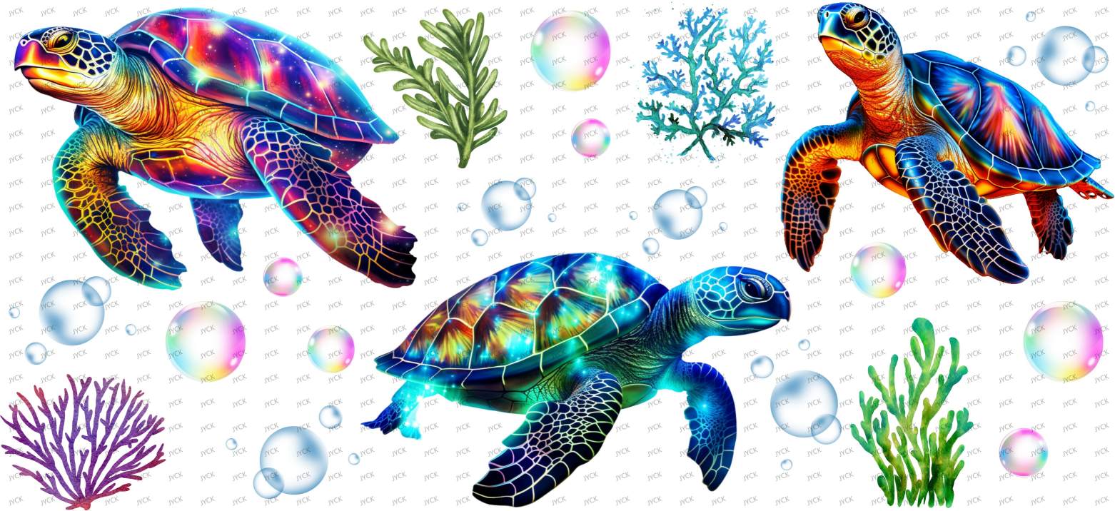 tortoise-Y12272
