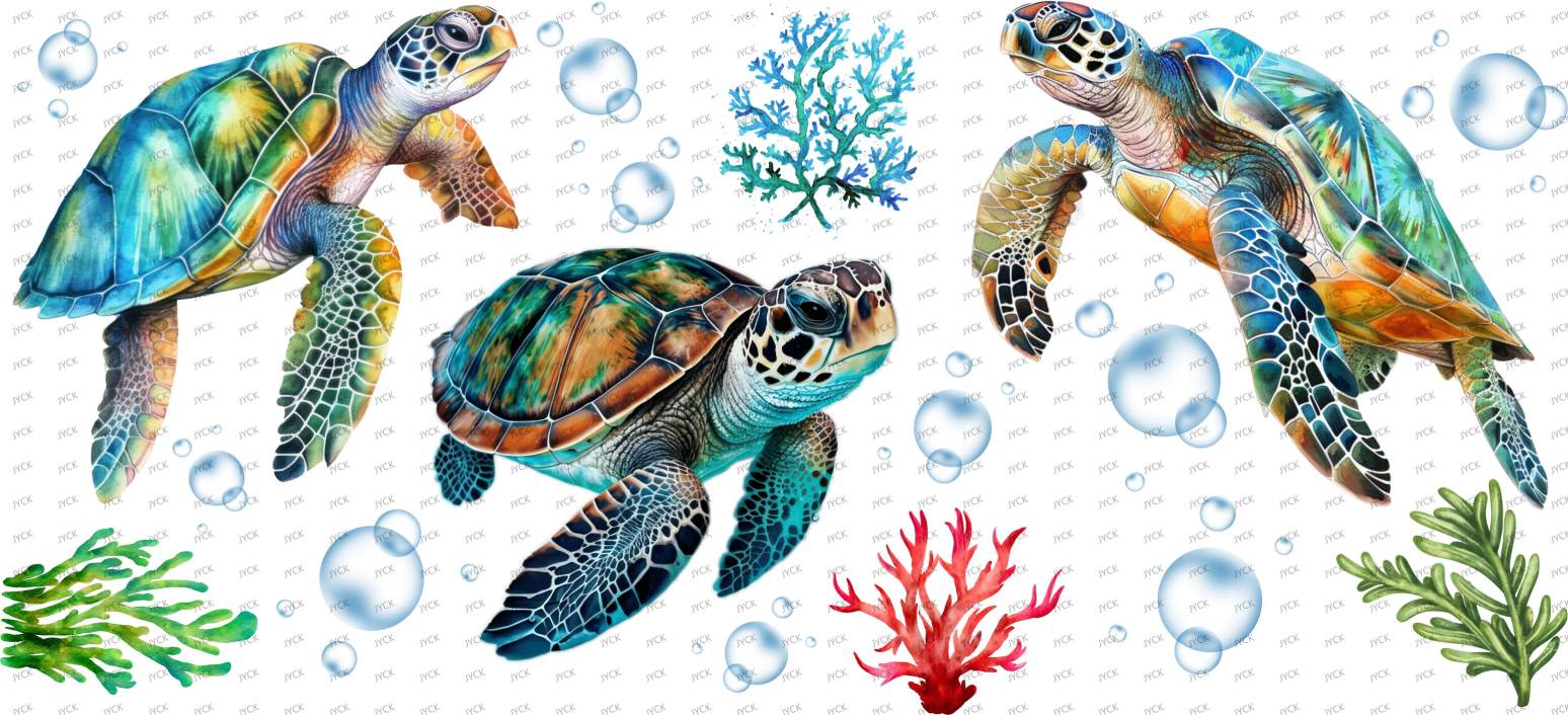 tortoise-Y12274