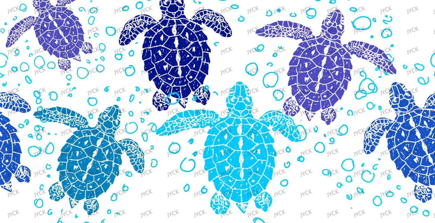 tortoise-Y12655