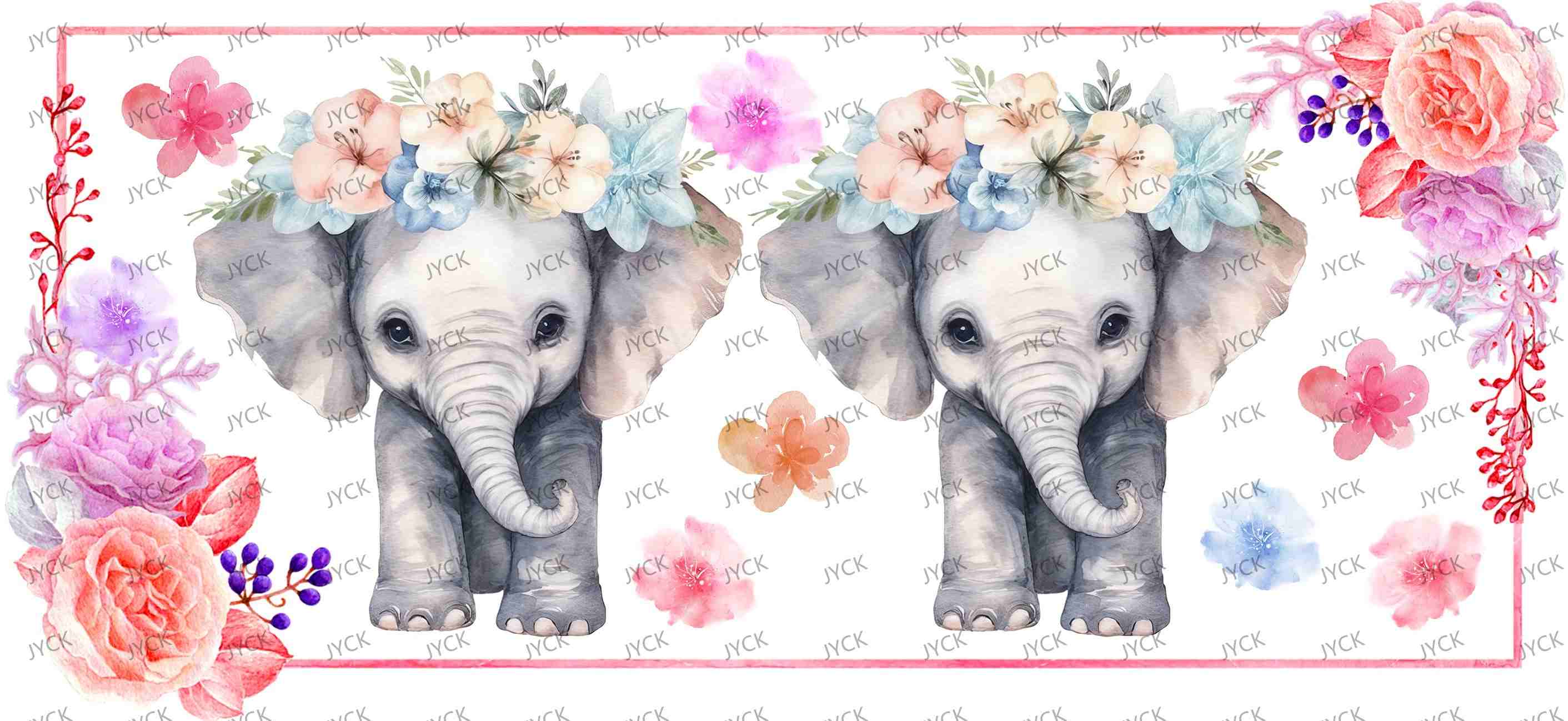 tortoise-Y16754