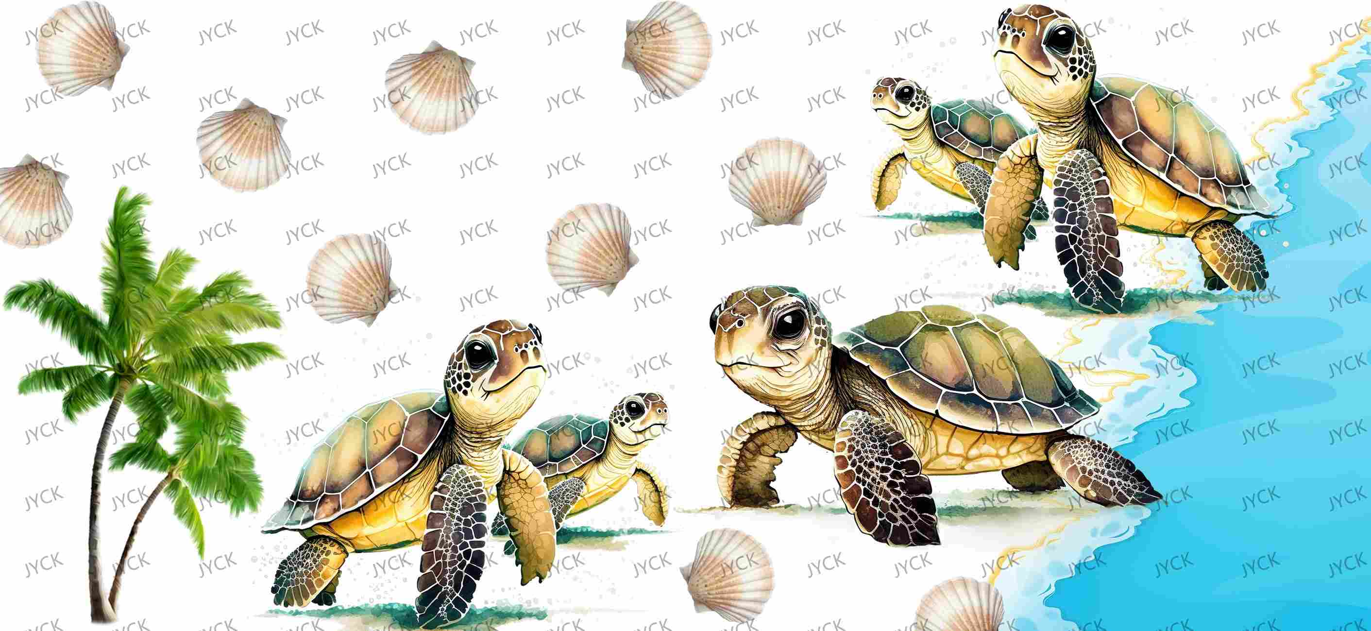 tortoise-Y24576
