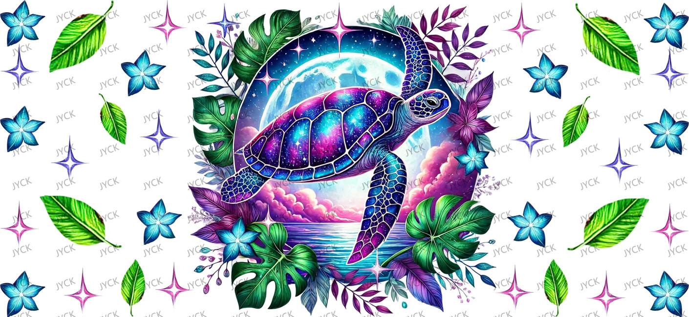 tortoise-Y33059