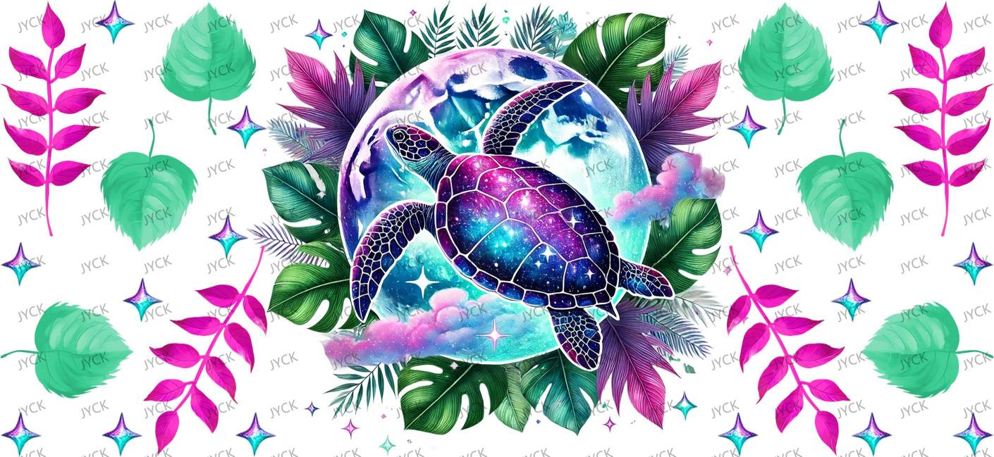 tortoise-Y33061