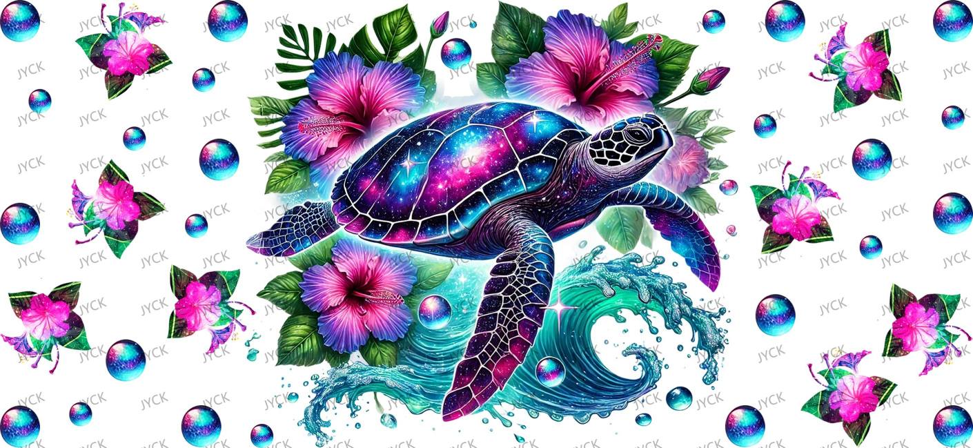 tortoise-Y33066