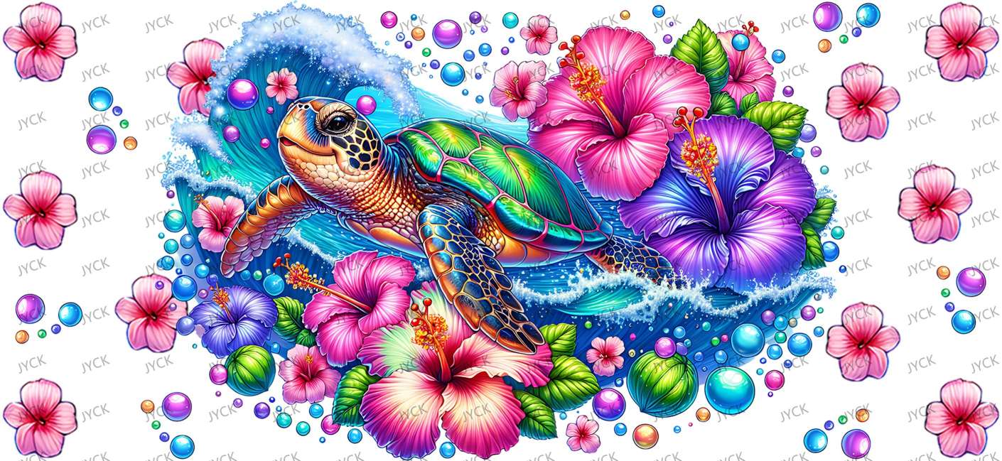 tortoise-Y34805