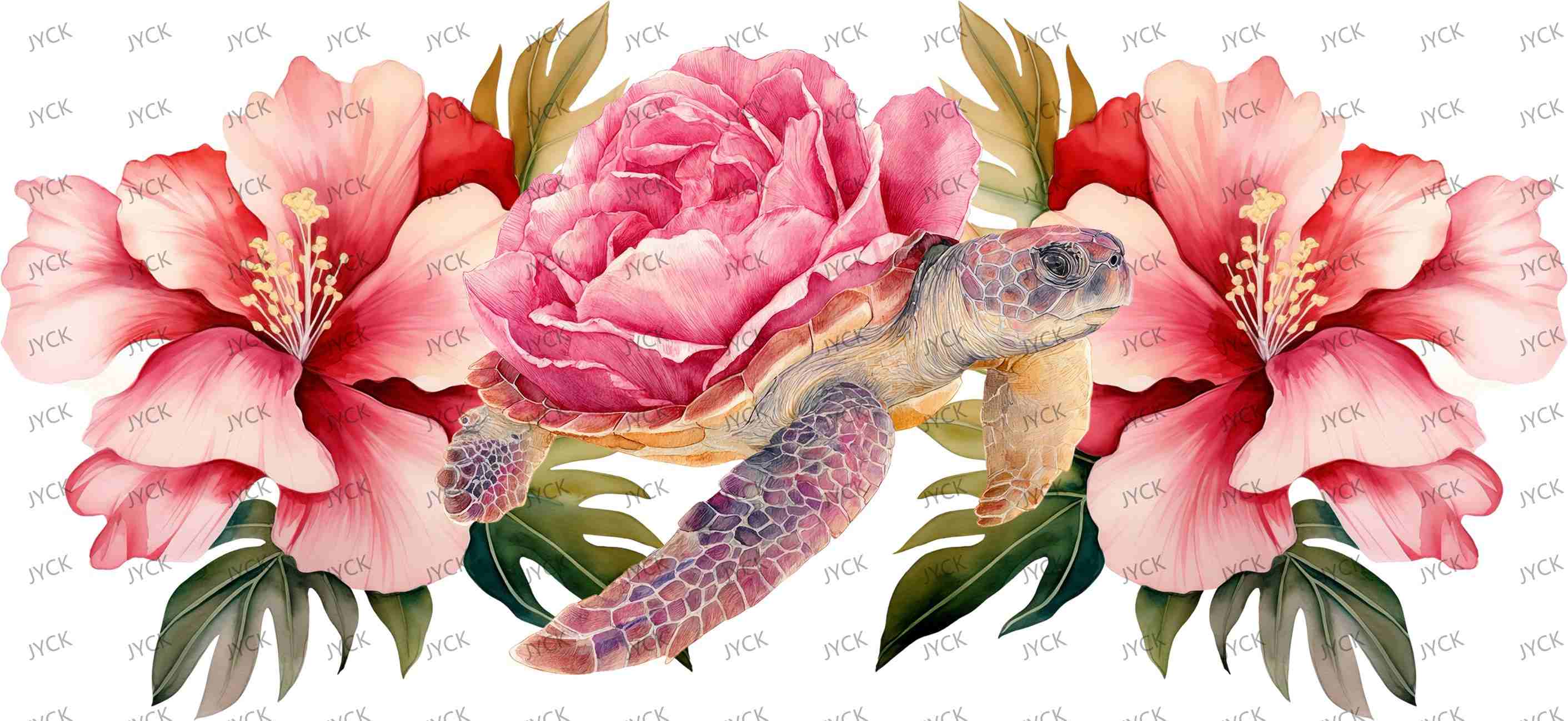 tortoise-Y42705