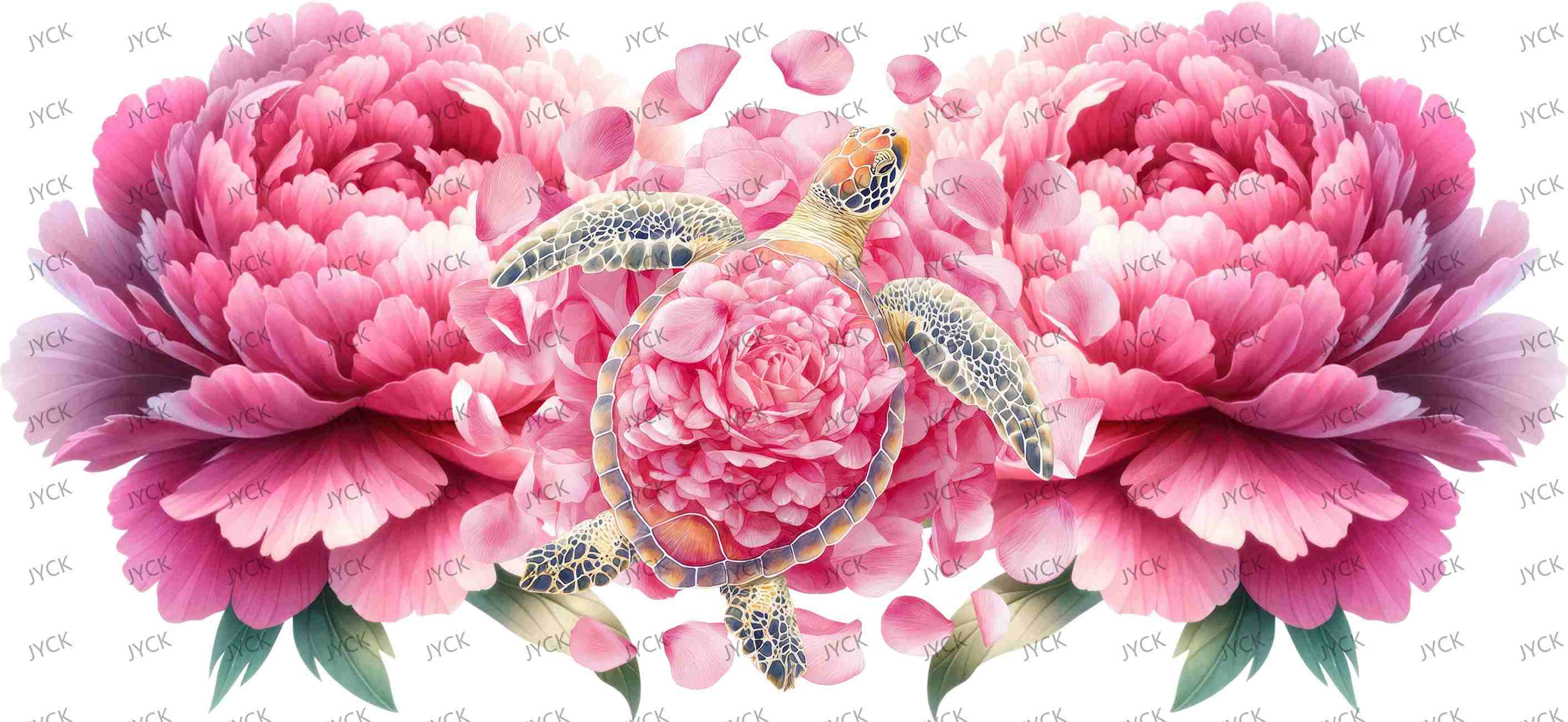 tortoise-Y42706